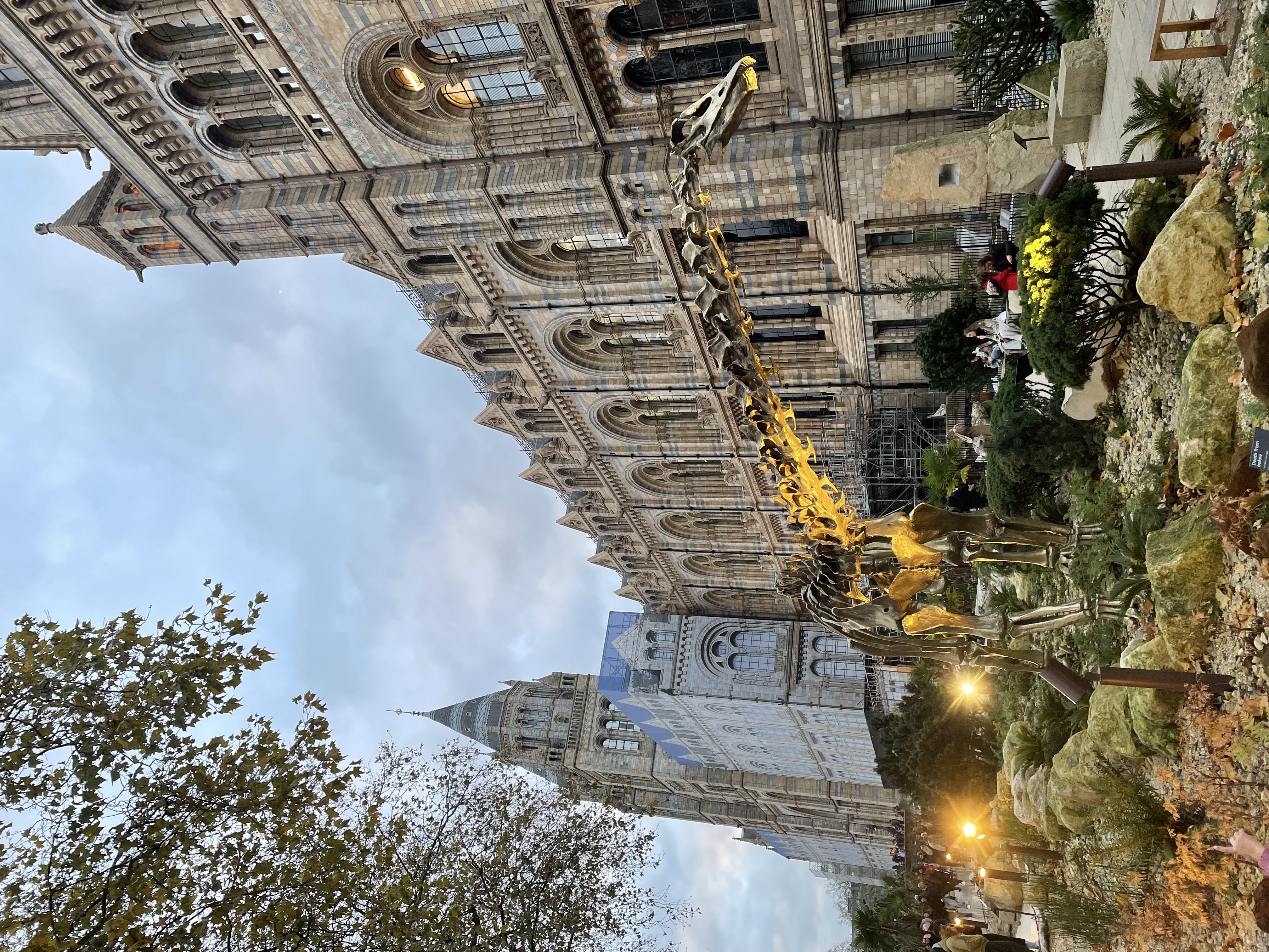 Museo de Historia Natural