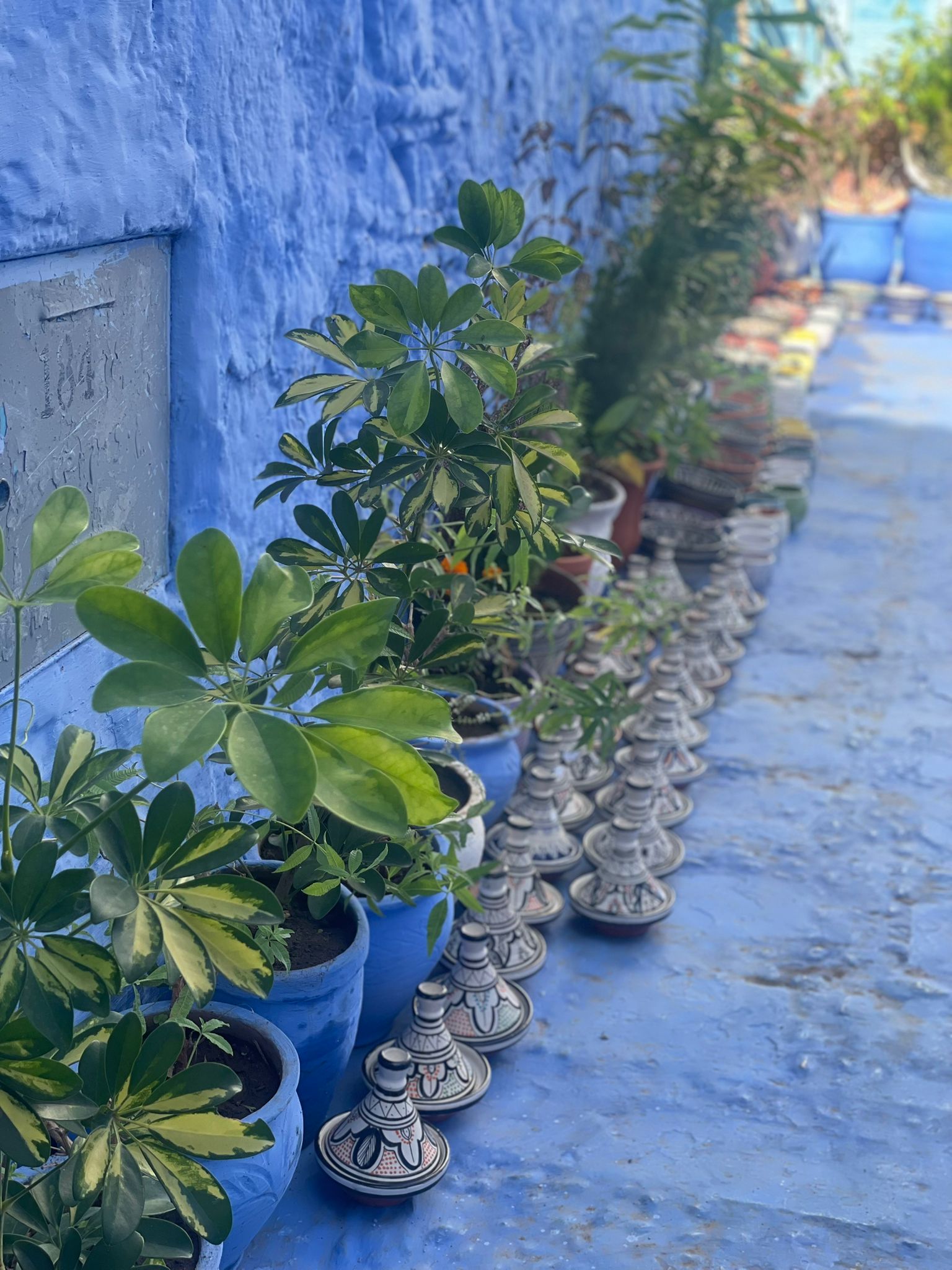 Macetas en Chefchauen