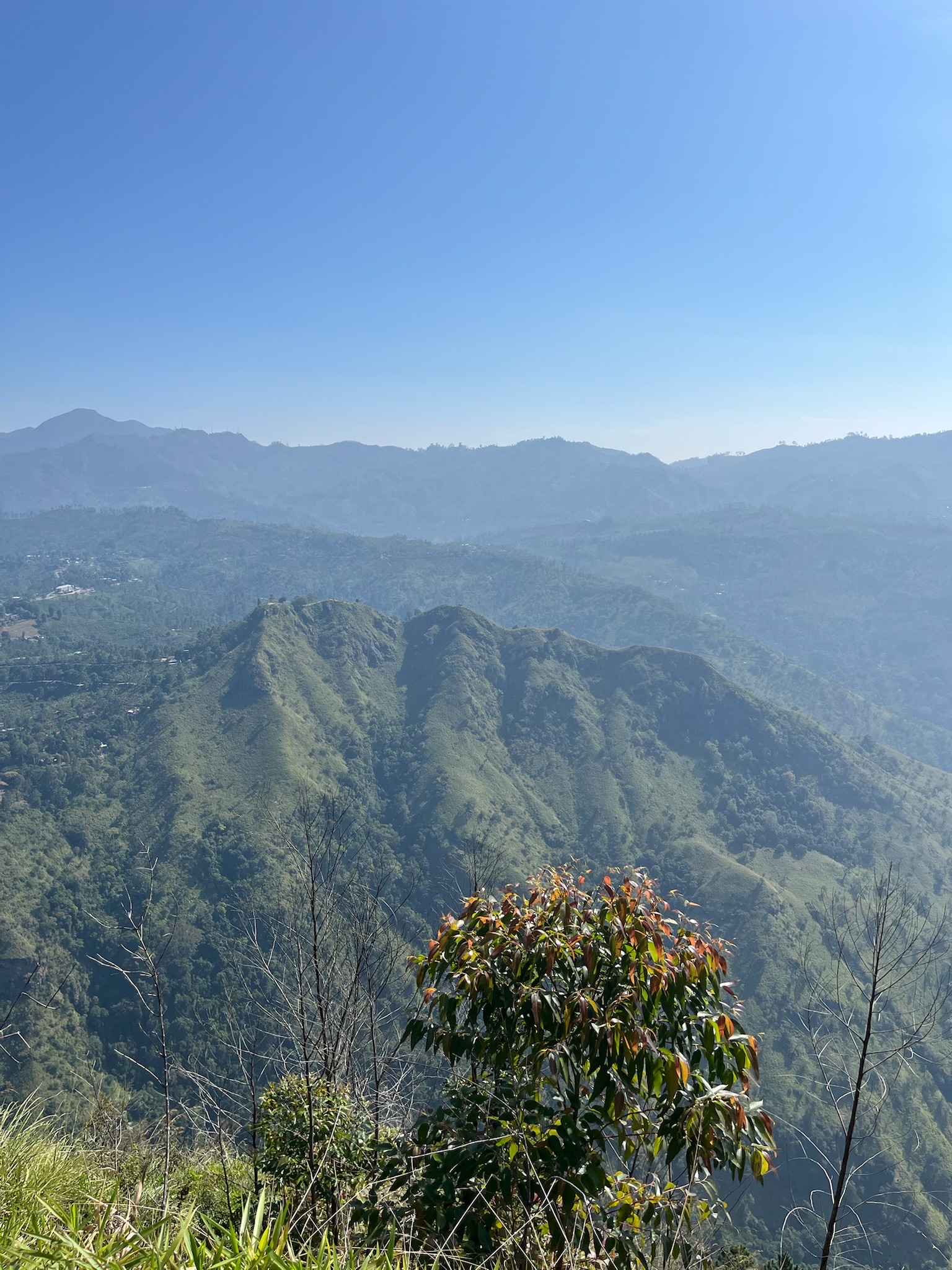 Trekking en Ella: Ella Rock y Little Adam's Peak